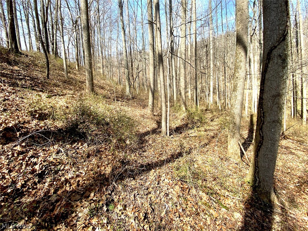 0 Township Road Coshocton, OH 43812 - Photo 9 of 24