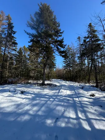 $155,000 | Lot #2 Hidden Drive, Vinalhaven, ME 04863