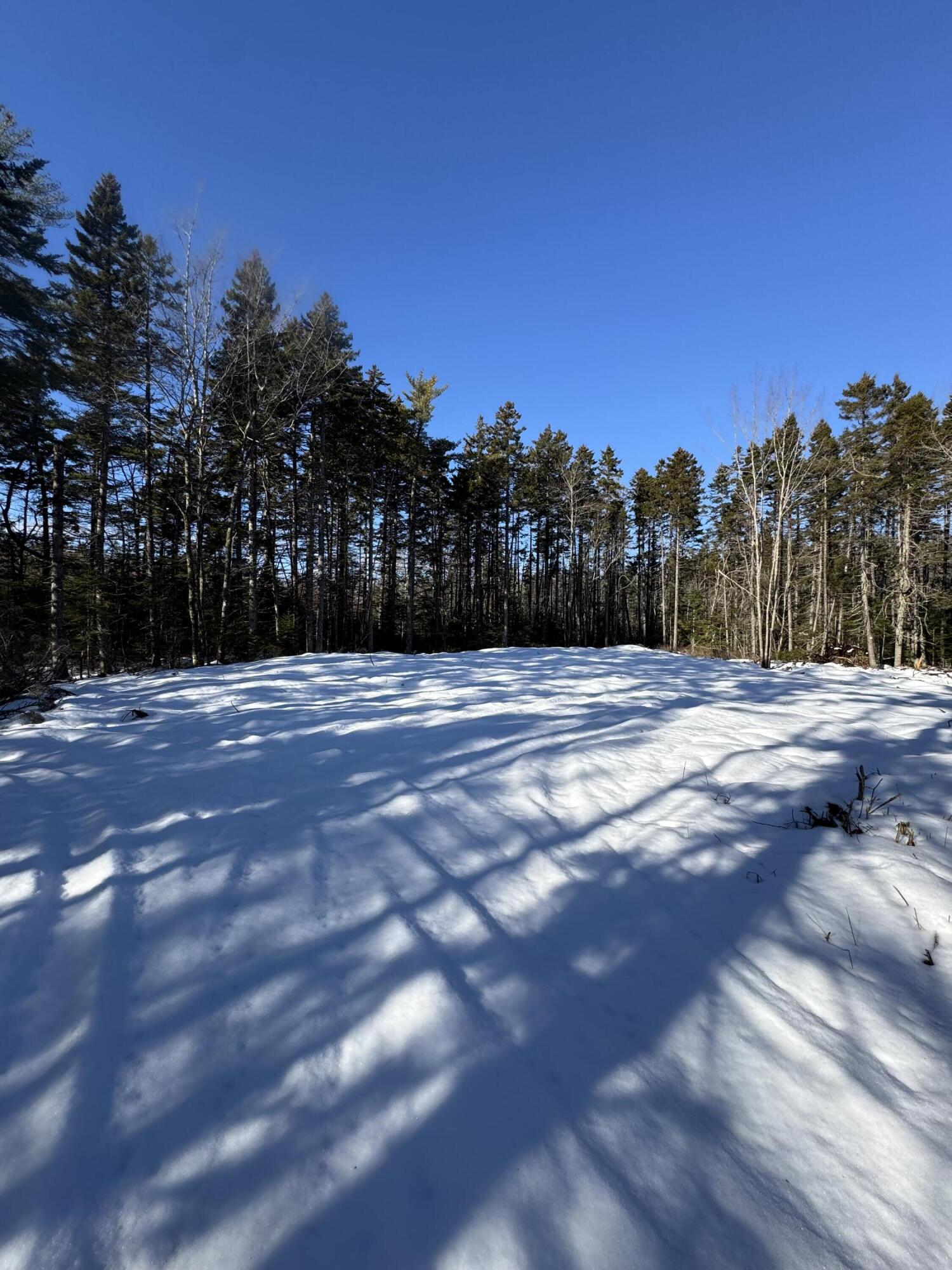 Lot #2 Hidden Drive Vinalhaven, ME 04863 - Photo 5 of 14 IMG_2349