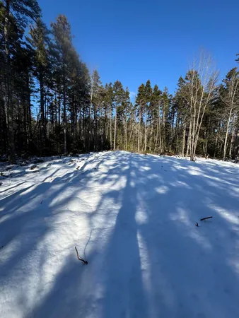 $155,000 | Lot #2 Hidden Drive, Vinalhaven, ME 04863