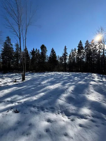 $155,000 | Lot #2 Hidden Drive, Vinalhaven, ME 04863