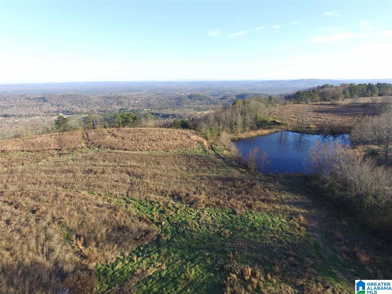 0 County Road 24, Unit 49 / ACRES Springville, AL 35146 - Photo 1 of 18