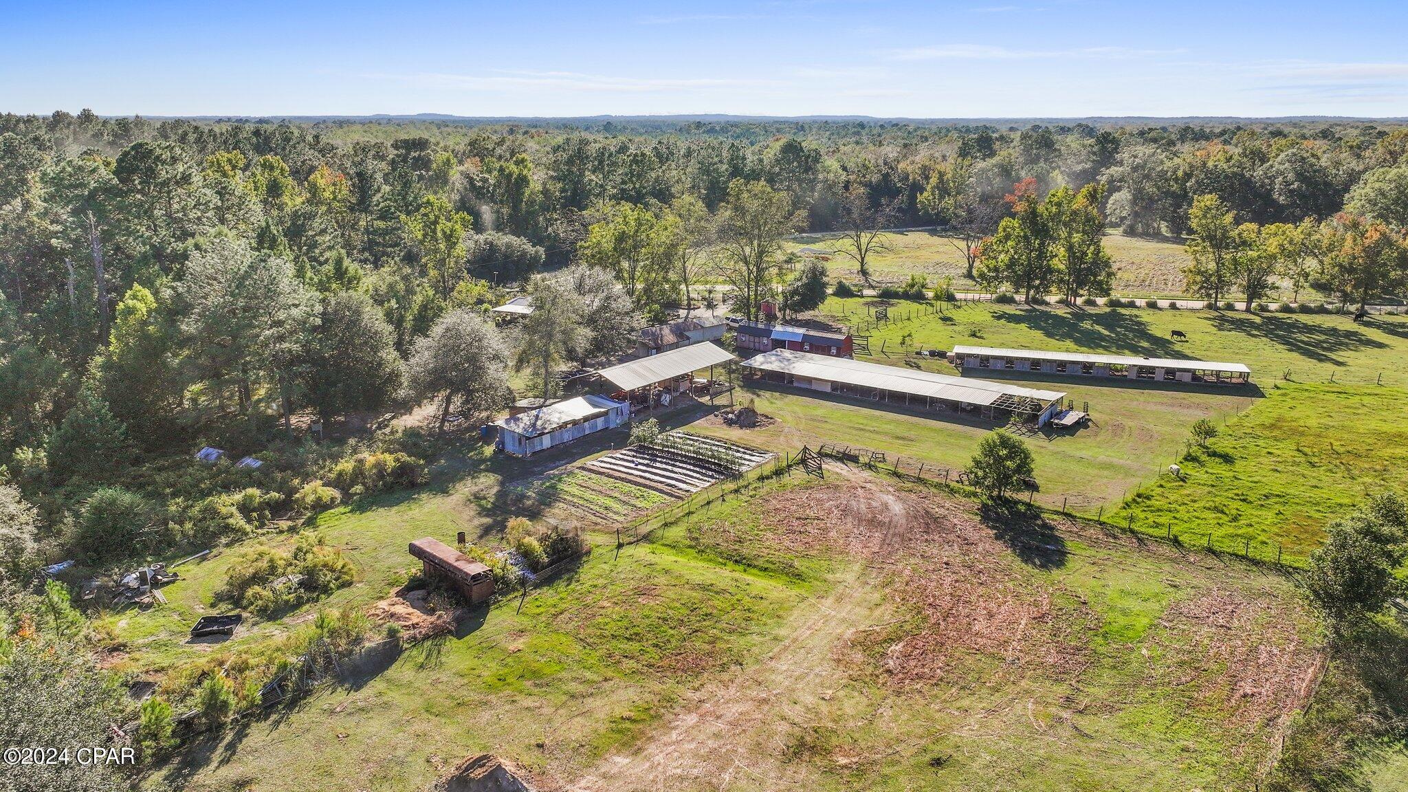 1583 Clemmons Road Bonifay, FL 32425 - Photo 36 of 59