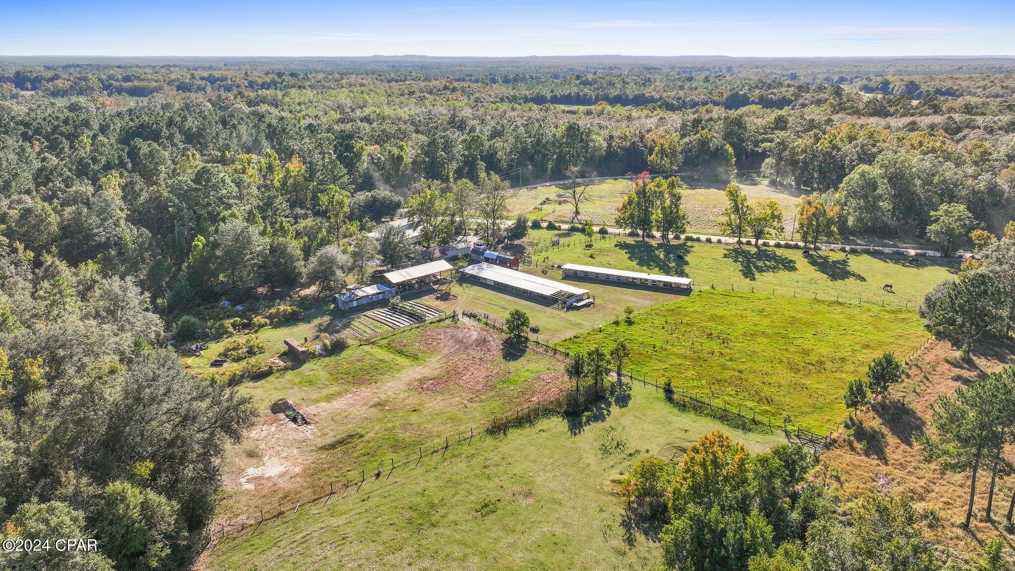 1583 Clemmons Road Bonifay, FL 32425 - Photo 37 of 59