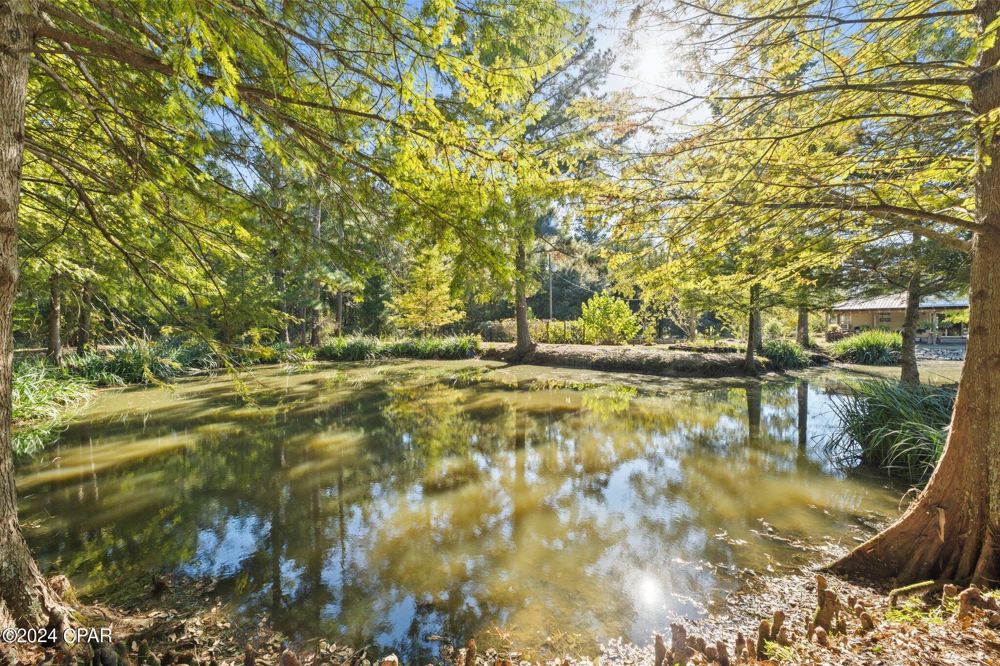 1583 Clemmons Road Bonifay, FL 32425 - Photo 5 of 59