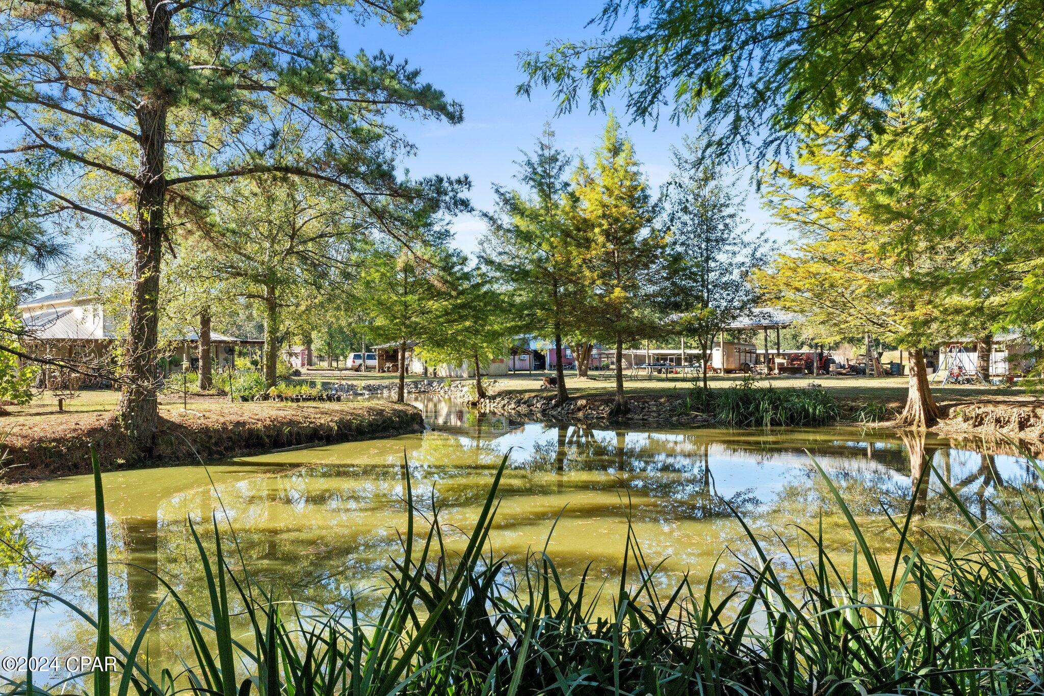 1583 Clemmons Road Bonifay, FL 32425 - Photo 7 of 59