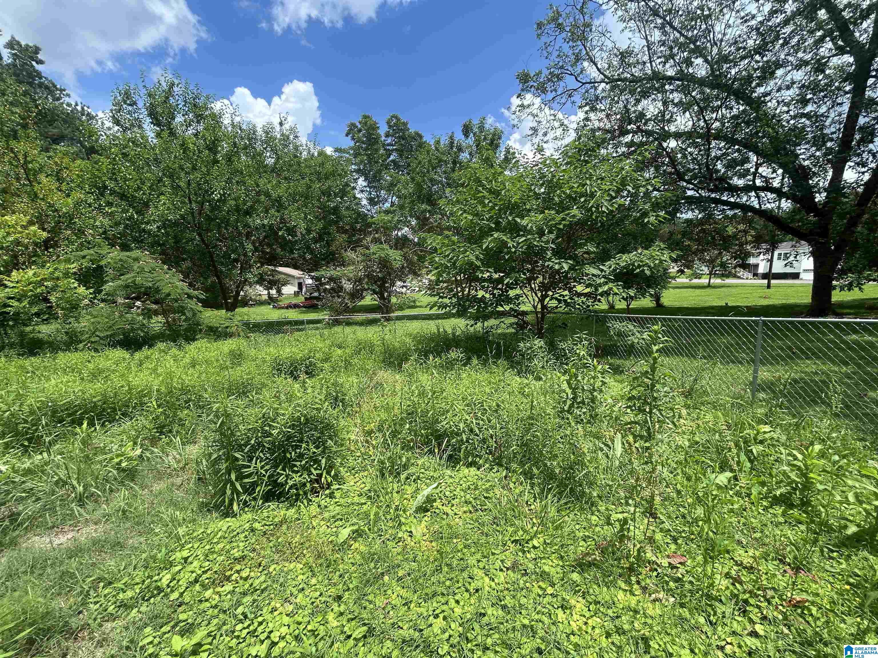 578 Empire Road Sumiton, AL 35148 - Photo 25 of 49