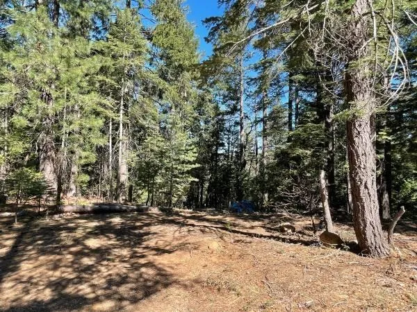 a view of outdoor space with trees