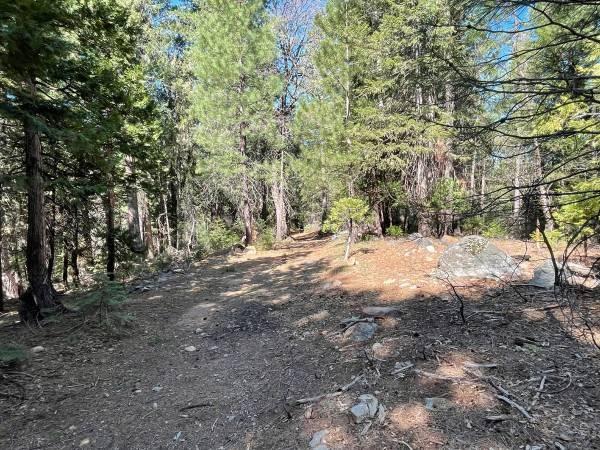 12664 Last Chance Mine Road Nevada City, CA 95959 - Photo 2 of 6 a view of outdoor space with trees