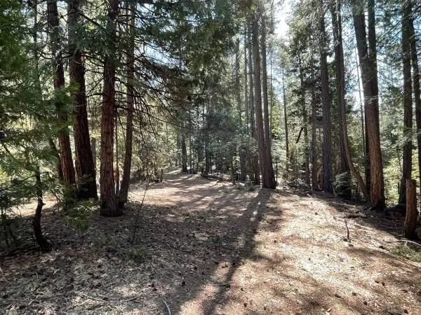 $69,000 | 12664 Last Chance Mine Road, Nevada City, CA 95959
