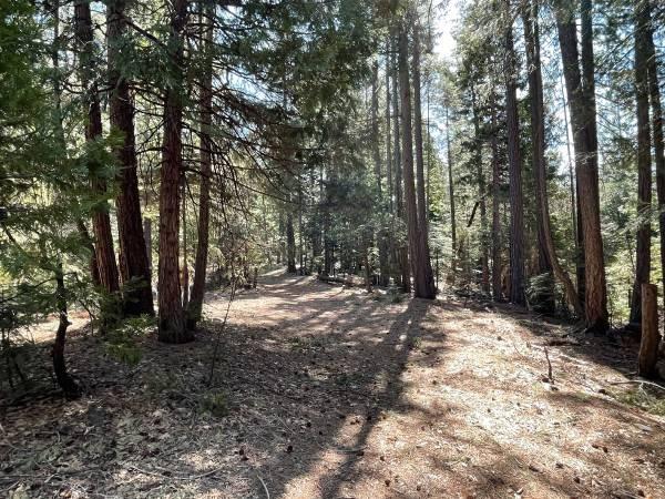 12664 Last Chance Mine Road Nevada City, CA 95959 - Photo 3 of 6 a view of outdoor space and trees