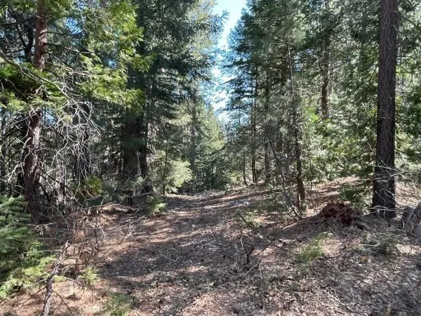 $69,000 | 12664 Last Chance Mine Road, Nevada City, CA 95959