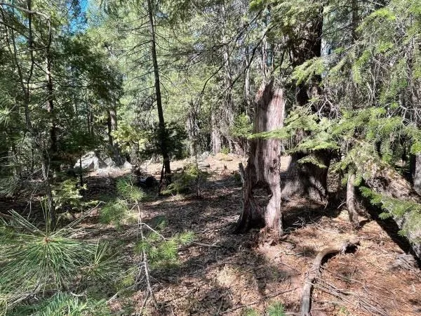 $69,000 | 12664 Last Chance Mine Road, Nevada City, CA 95959