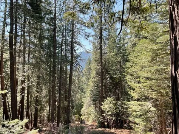 $69,000 | 12664 Last Chance Mine Road, Nevada City, CA 95959