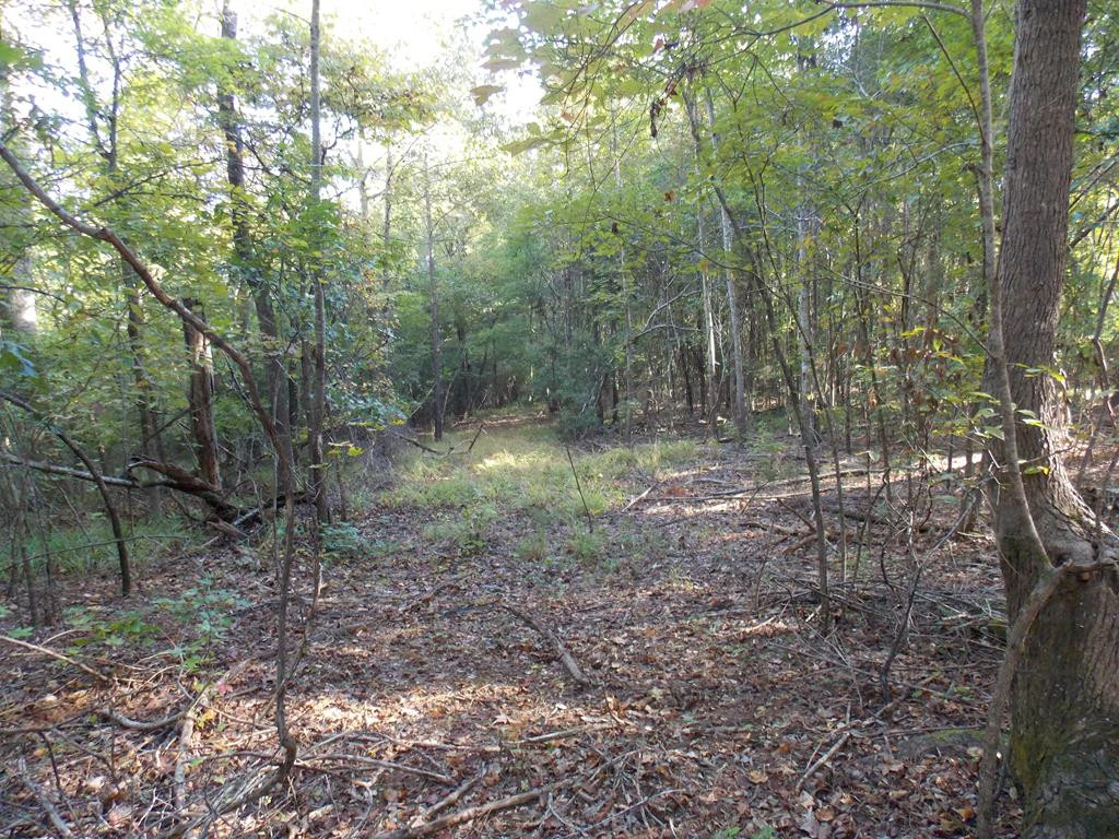 0 Guillebeau Road Lincolnton, GA 30817 - Photo 1 of 5 Main View