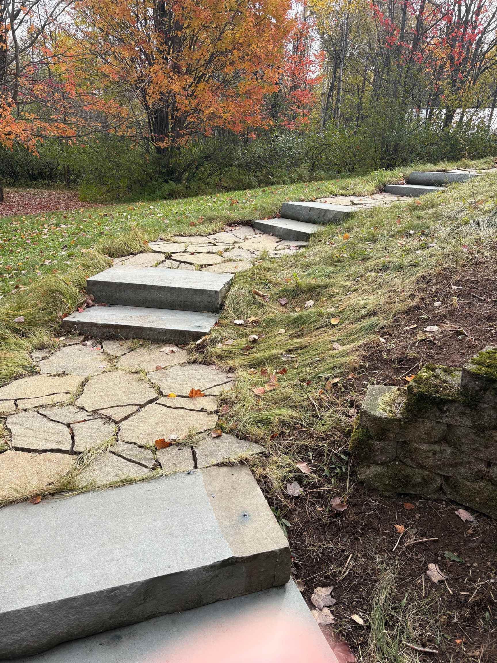 6373 Maple Grove Road Cloquet, MN 55720 - Photo 4 of 42 View of yard