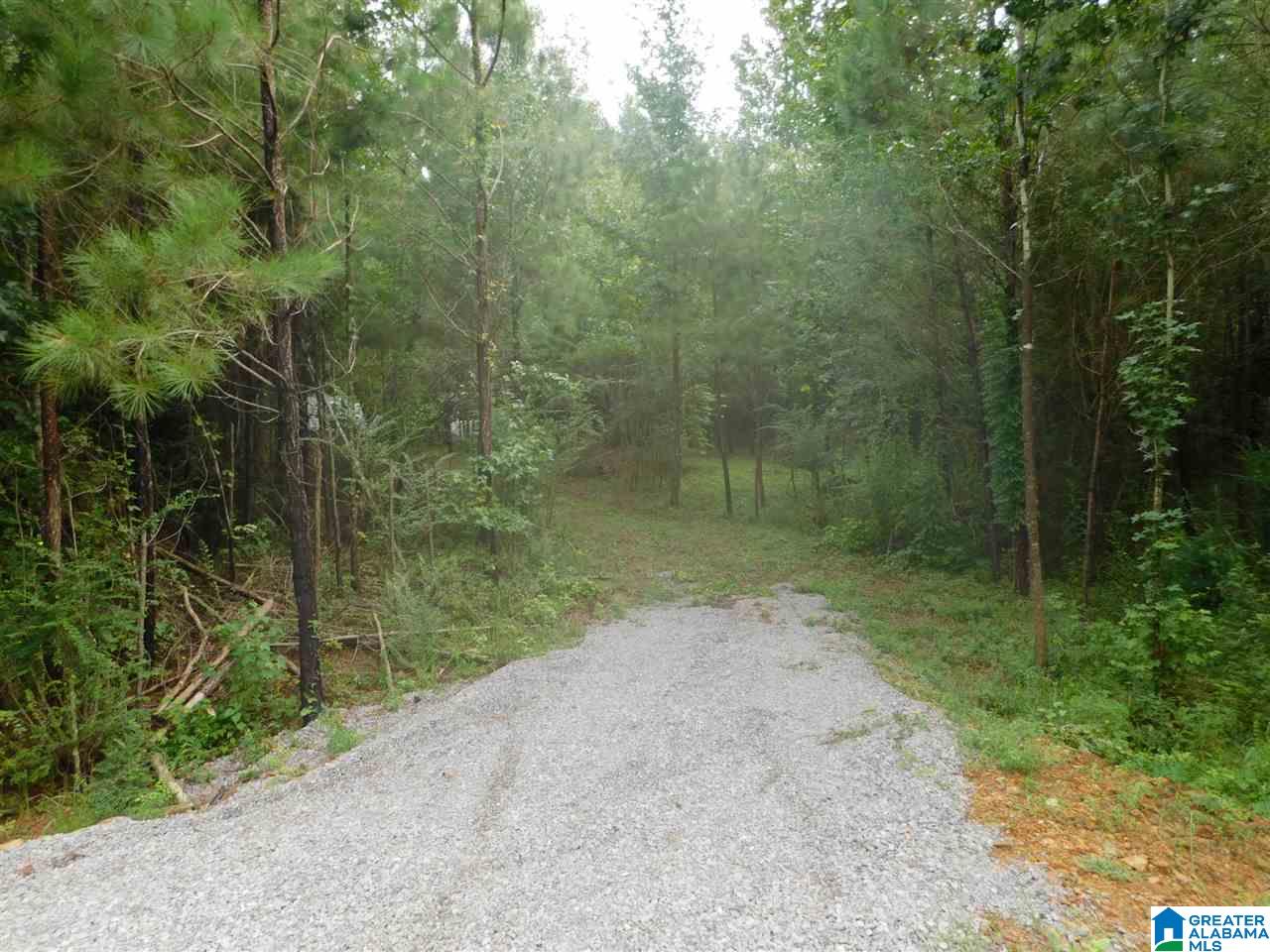 133 County Road, Unit 2 & 3 Empire, AL 35063 - Photo 1 of 15