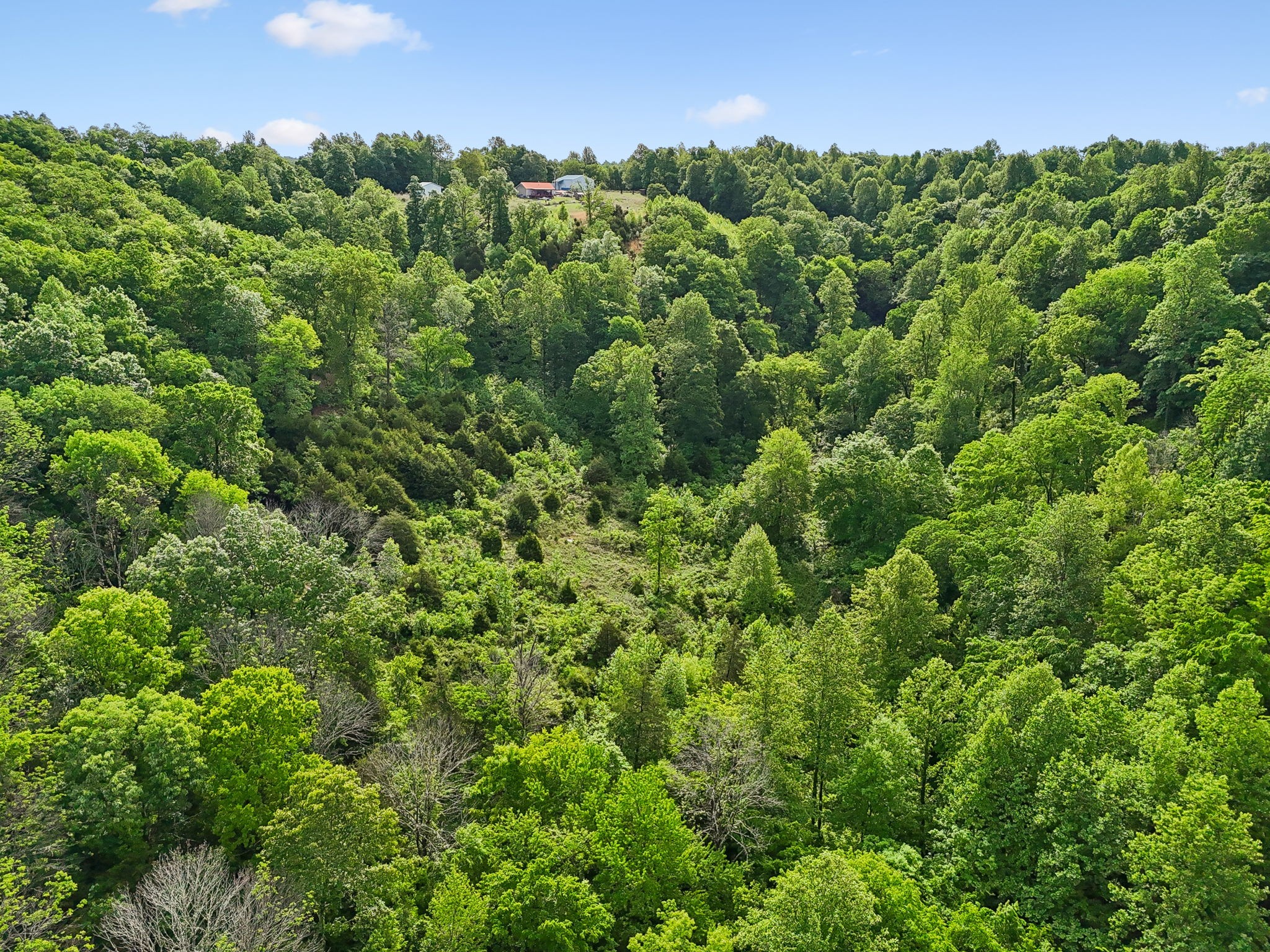 0 Conley Road Woodbury, TN 37190 - Photo 4 of 30 Gallery Image 4