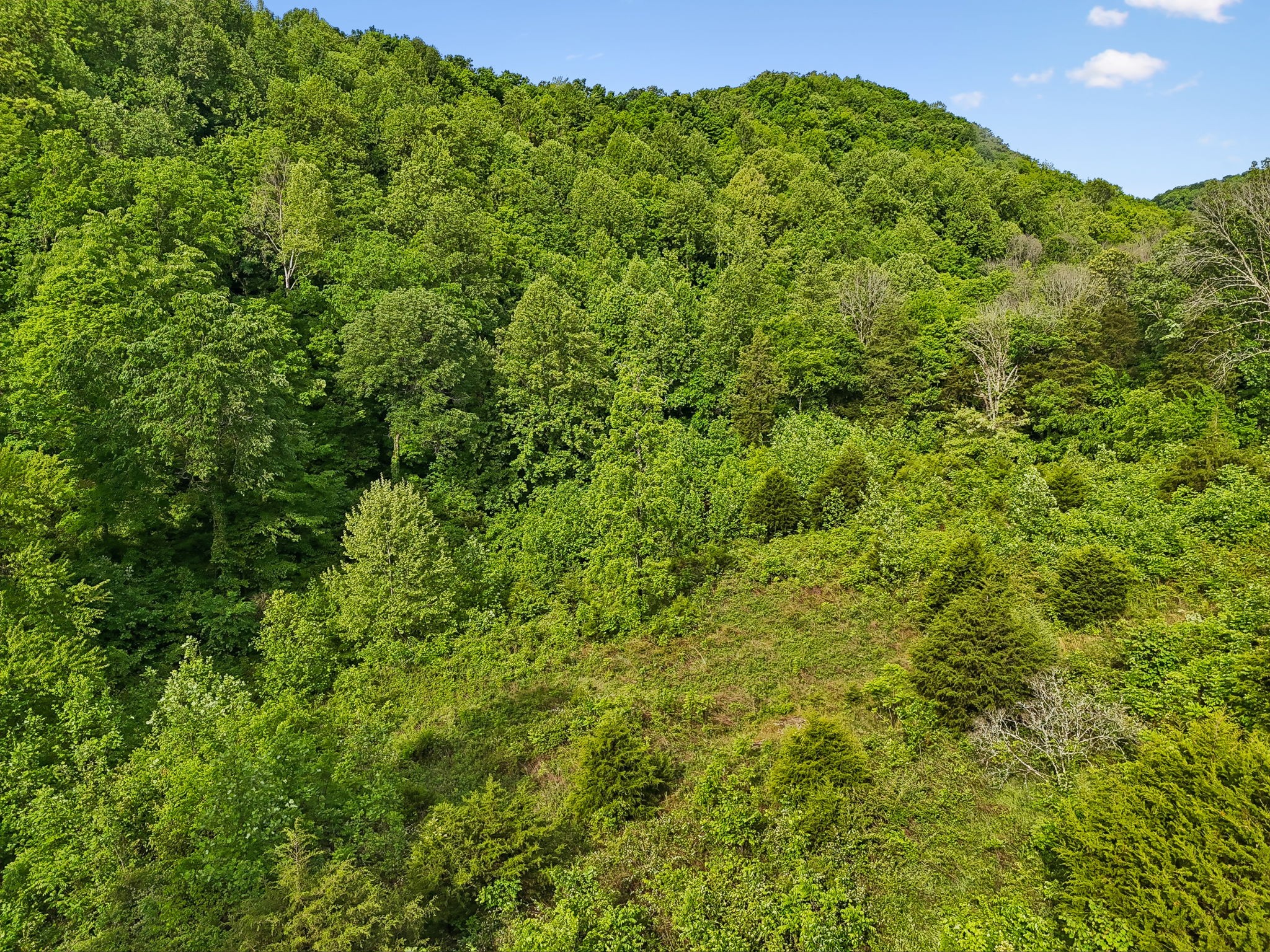 0 Conley Road Woodbury, TN 37190 - Photo 6 of 30 Gallery Image 6