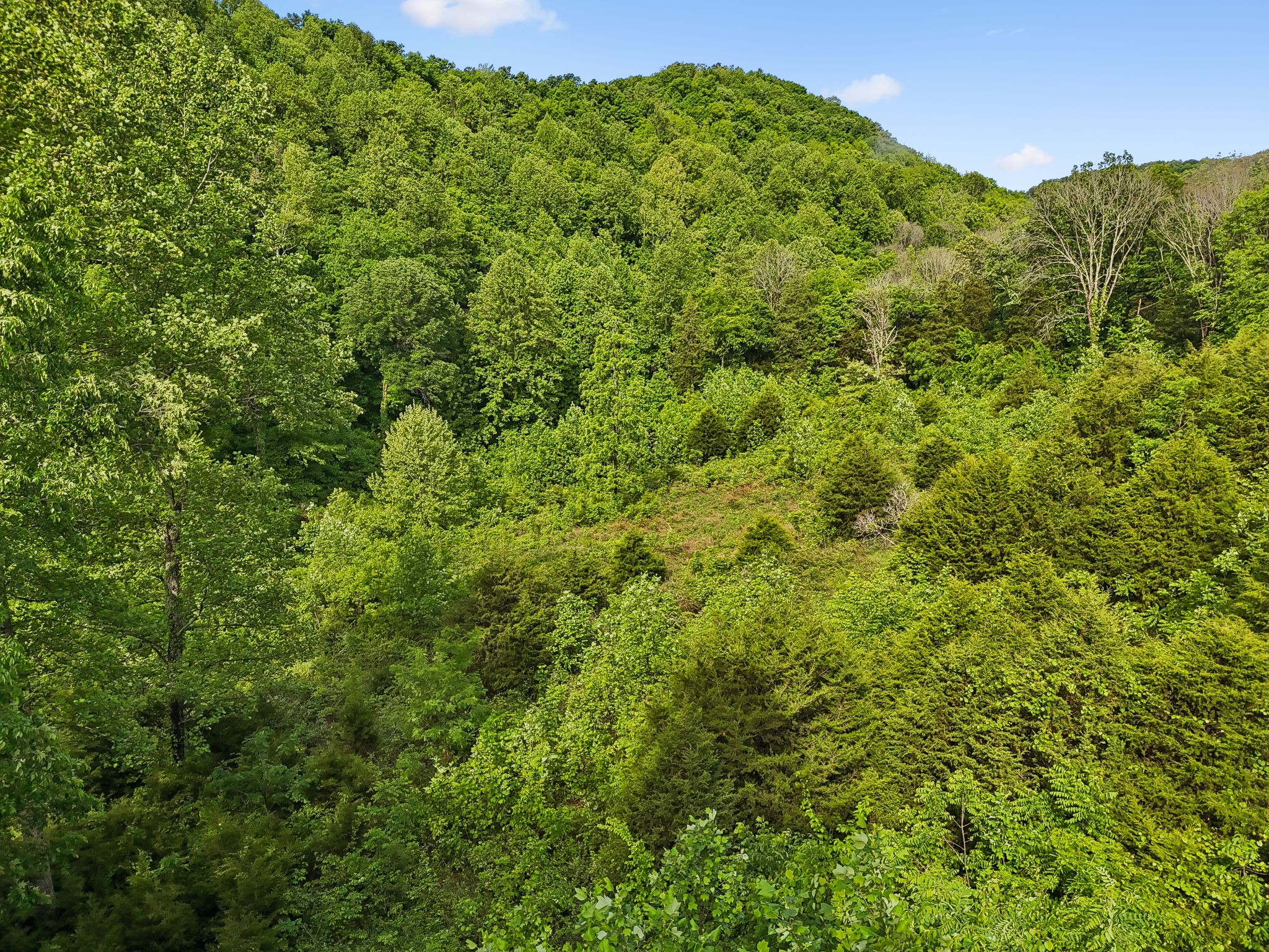 0 Conley Road Woodbury, TN 37190 - Photo 8 of 30 Gallery Image 8