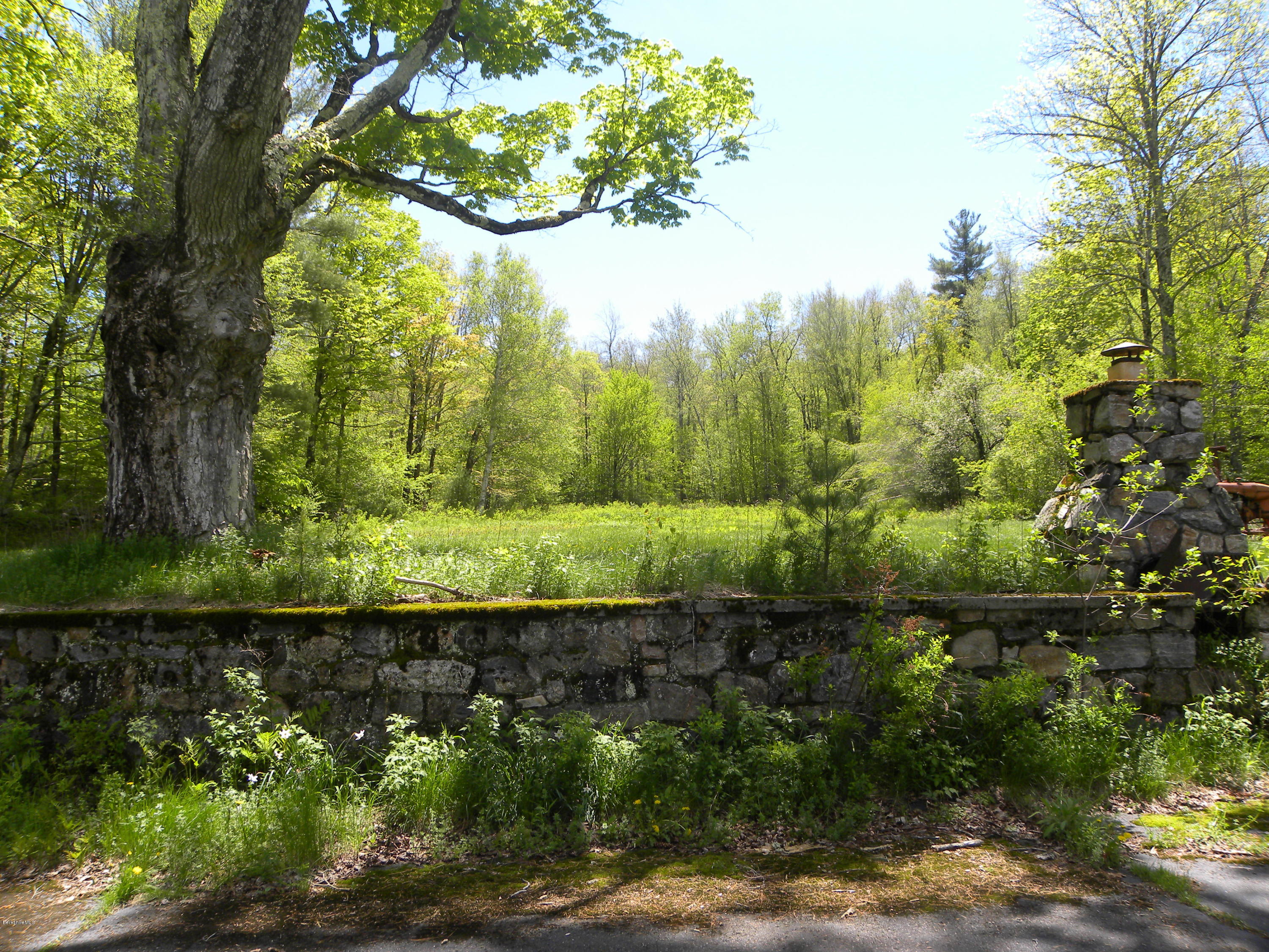 51 Norfolk Road Sandisfield, MA 01255 - Photo 5 of 11 a view of outdoor space and yard