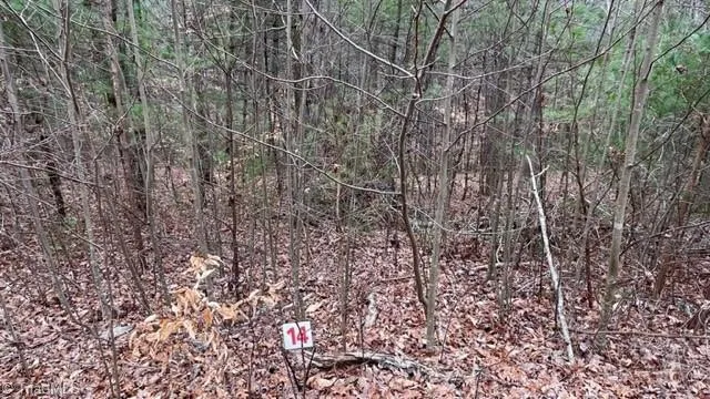 $29,999 | Lot 14 Woods Haven Lane, Stuart, VA 24171