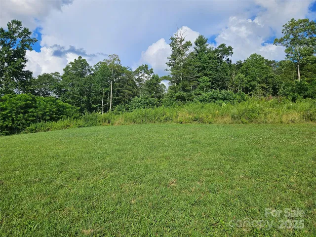 a view of a big yard with plants and large trees