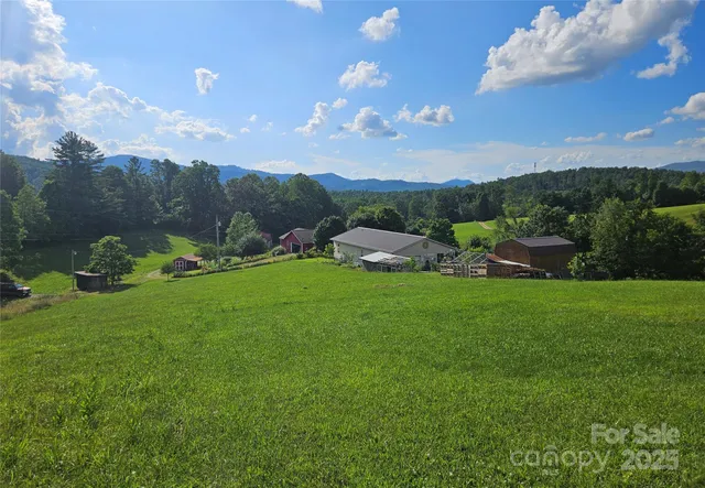 a view of a big yard with plants and a tree