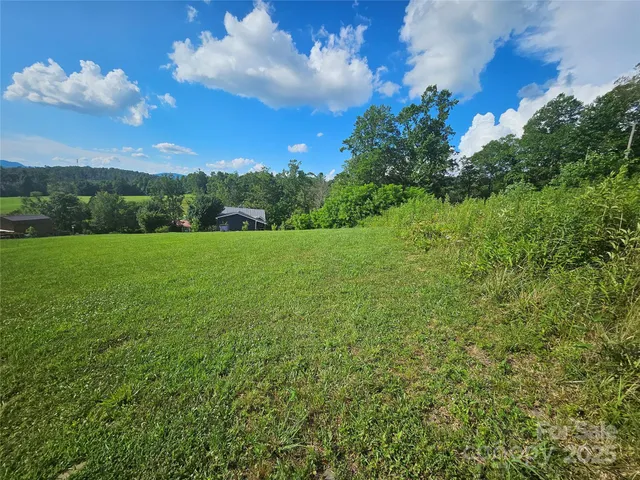 a view of a bunch of trees