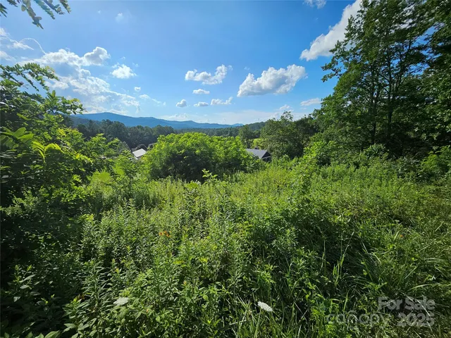 a view of a big yard with lots of green space