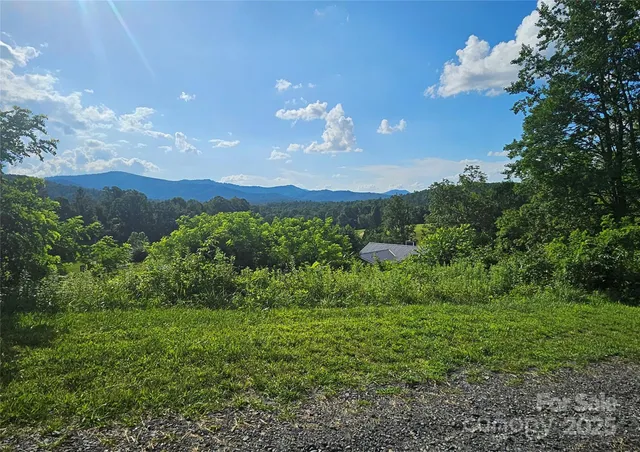 a view of a yard in front of a house with a yard