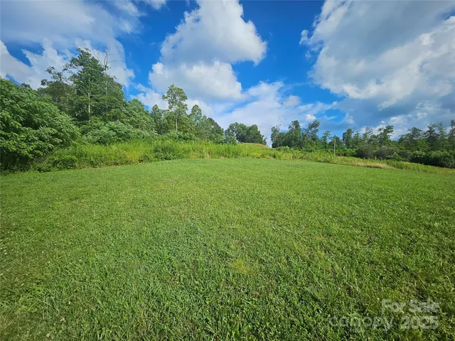a view of a garden with an tree