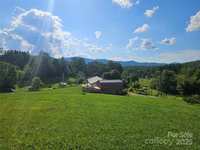 a view of a big yard with a large tree