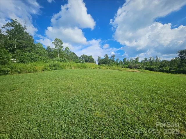 a view of a lush green space