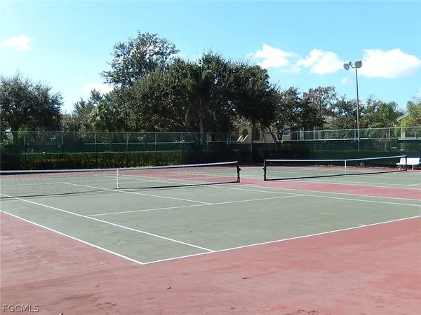 a view of a garden with a bench