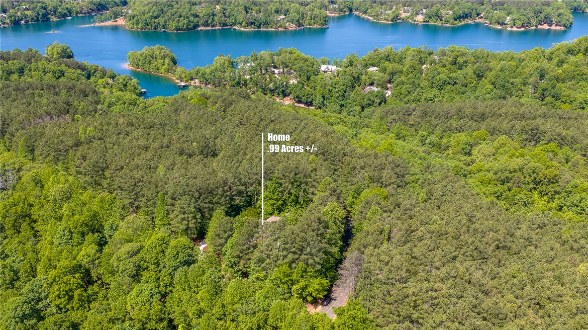 400 South Point Boulevard Sunset, SC 29685 - Photo 3 of 46