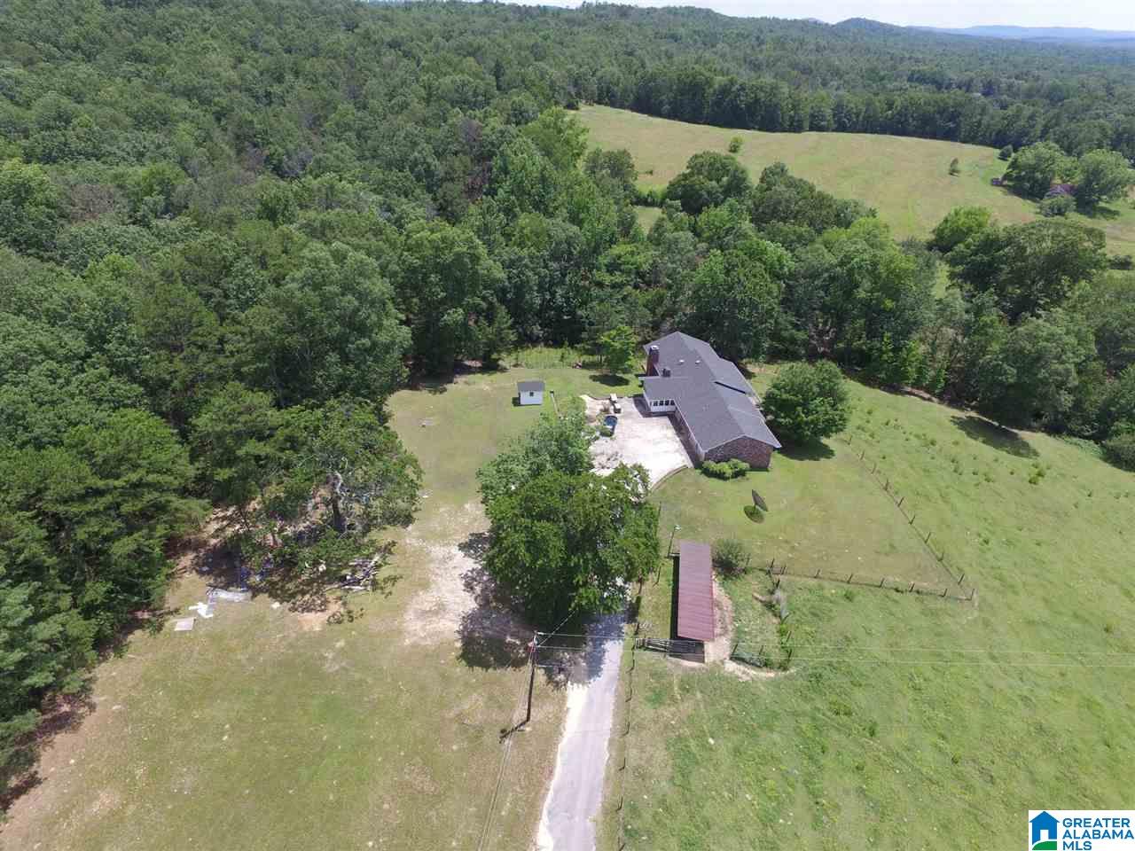 1900 Kiowa Road Remlap, AL 35133 - Photo 3 of 36