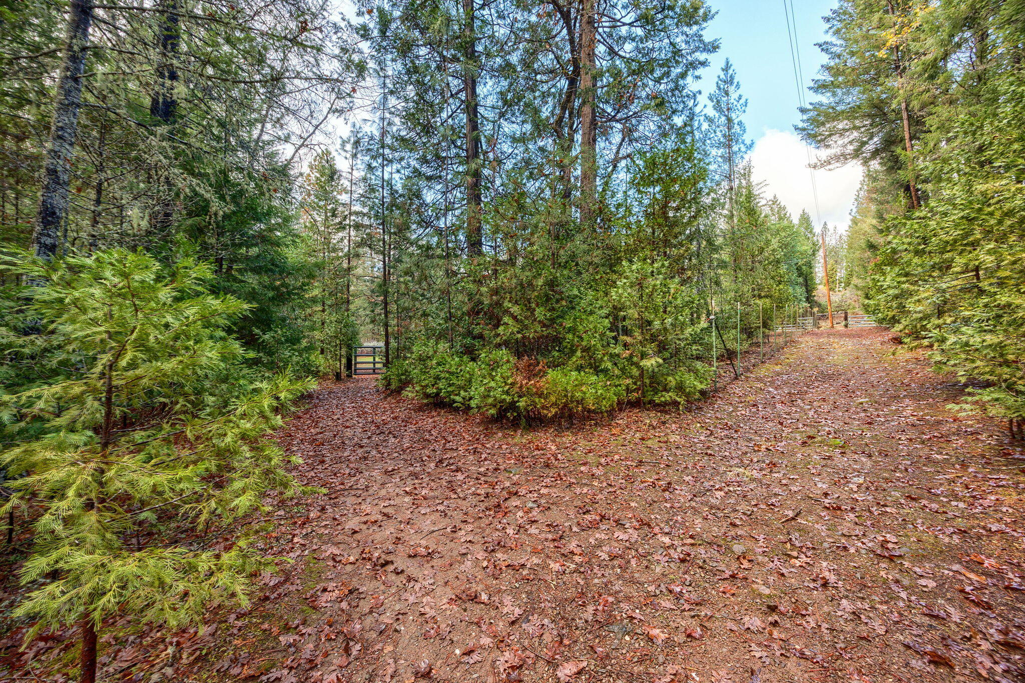 1600 Sykes Creek Road Rogue River, OR 97537 - Photo 42 of 47 ApxSCR (27)