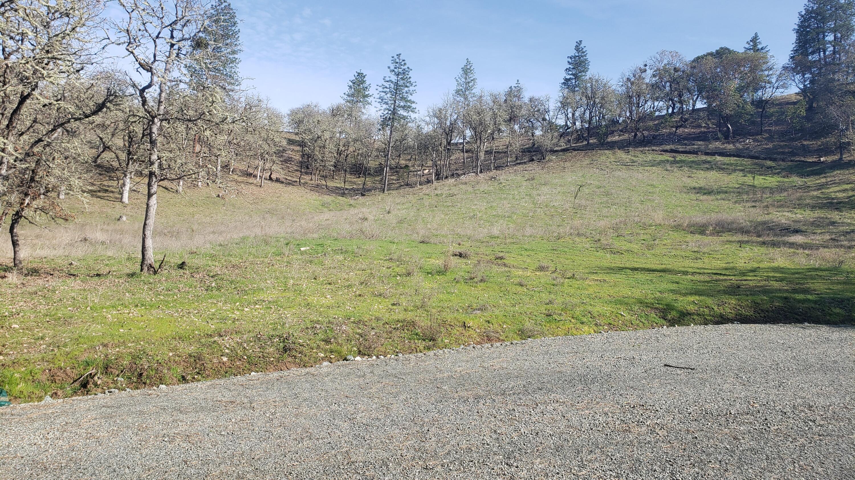 Messinger Road, Unit 300 Williams, OR 97544 - Photo 2 of 11 a view of a yard with trees