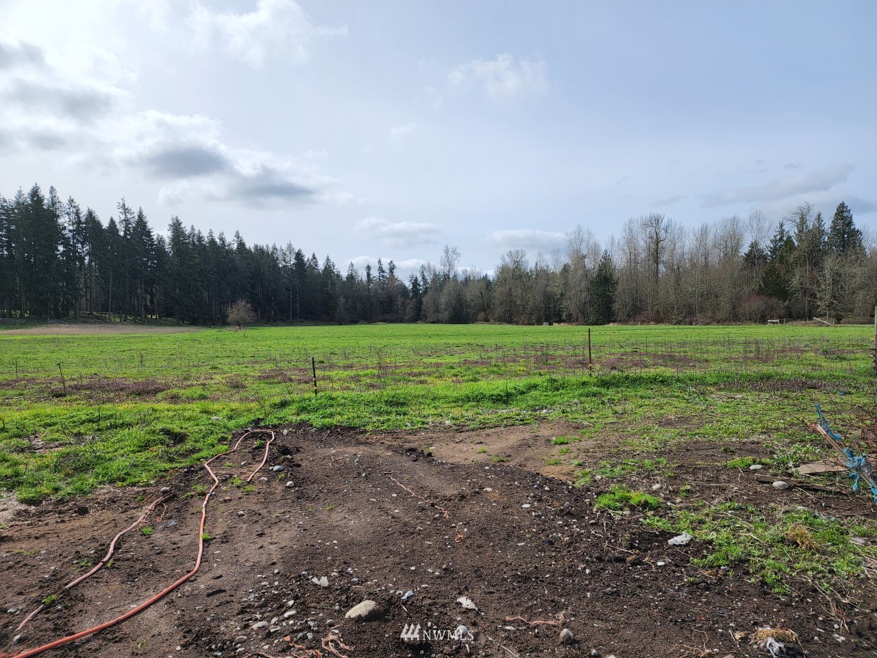 17025 Hannus Road Southeast Yelm, WA 98597 - Photo 23 of 29 Gallery Image 23