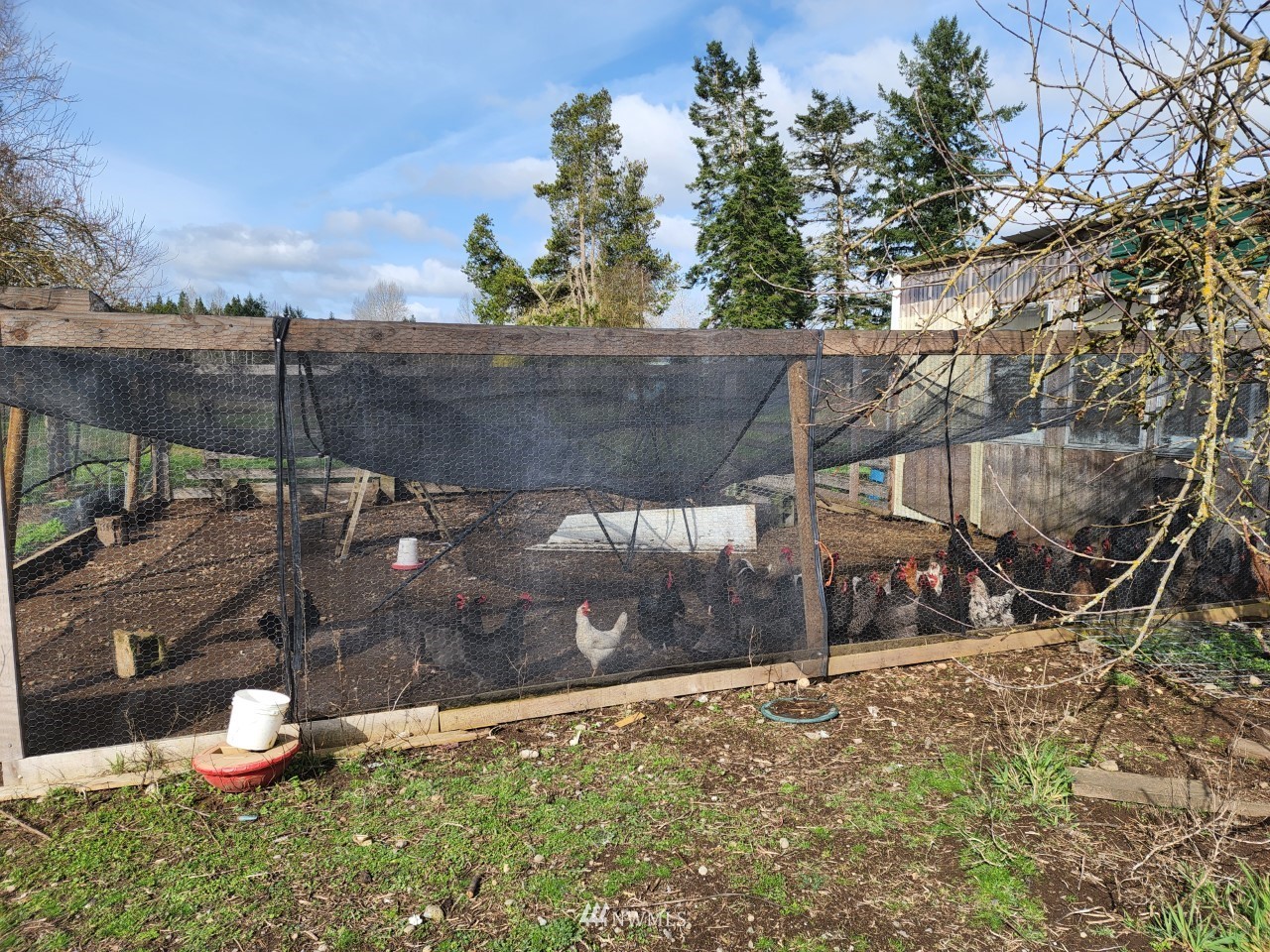 17025 Hannus Road Southeast Yelm, WA 98597 - Photo 27 of 29 Gallery Image 27
