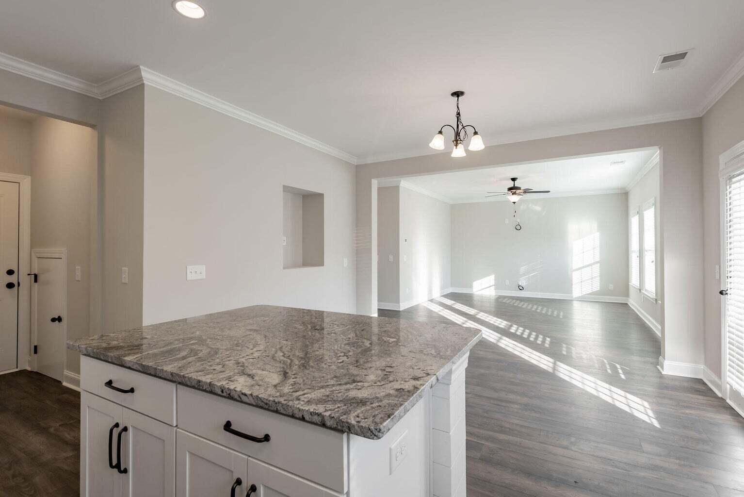 467 Eagleview Drive Moncks Corner, SC 29461 - Photo 11 of 31 Kitchen view