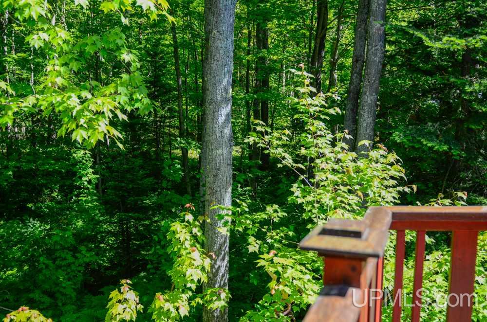 N9302 Sand River Road Deerton, MI 49822 - Photo 27 of 35 Gallery Image 27