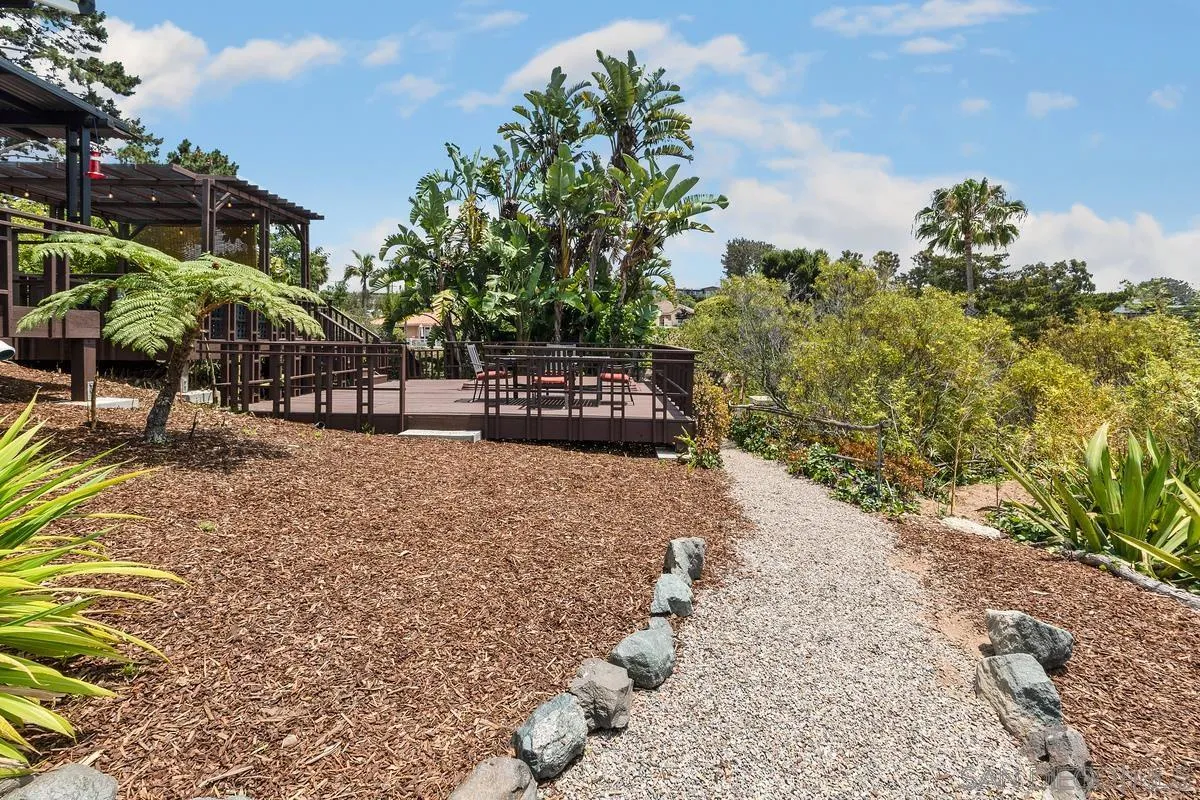 465 Glencrest Drive Solana Beach, CA 92075 - Photo 25 of 28 a view of a yard with plants and trees