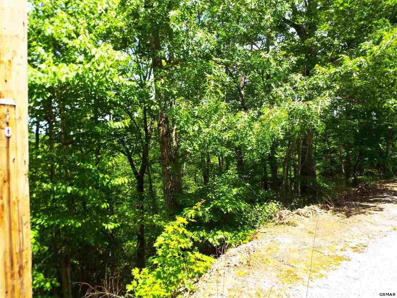 11 Wildcat Ridge Road Sevierville, TN 37862 - Photo 7 of 24