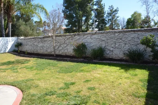 a view of backyard with large tree and wooden fence