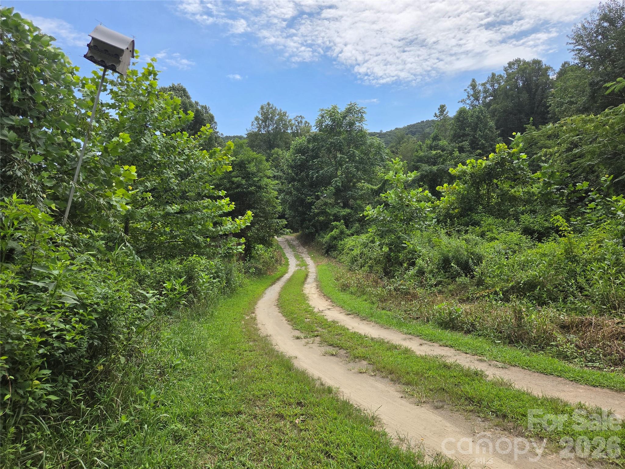 6059 Mt Zion Road Ferguson, NC 28624 - Photo 23 of 37 Gallery Image 23
