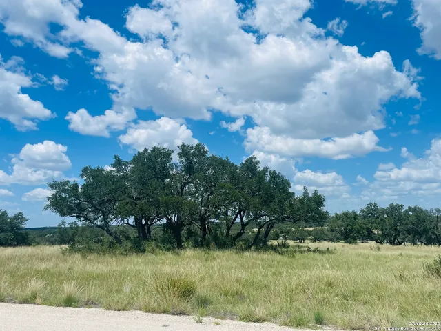 a view of a yard and ocean view
