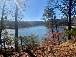 2 Thayer Lane Orleans, MA 02653 - Photo 4 of 48 20250209161501494778000000