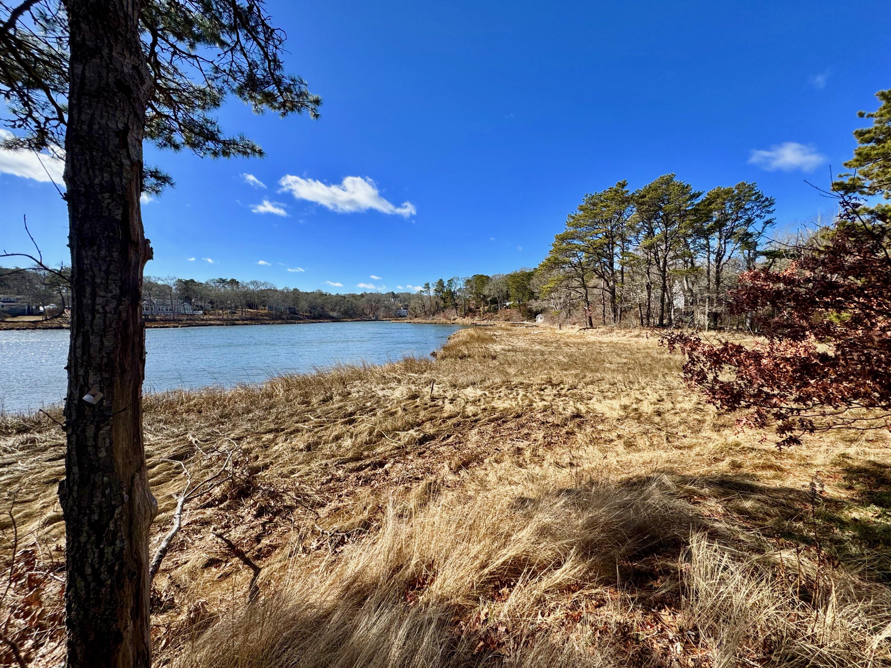 2 Thayer Lane Orleans, MA 02653 - Photo 42 of 48 IMG_0692